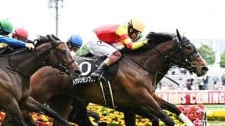 マーメイドＳは４年連続で「軽ハンデの人気薄馬」が勝利。今年、波乱を起こしそうな馬は？