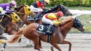 【ユニコーンS枠順確定】ジュタロウは4枠6番、リメイクは4枠7番