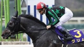 【地方競馬】ダート重賞5勝馬グリム、高知の最下級条件から再出発