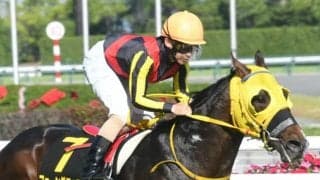 【次走】フェーングロッテンはラジオNIKKEI賞へ　半兄はスプリンターズS覇者ピクシーナイト