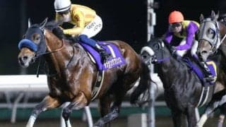 【次走】重賞3連勝中のダンシングプリンスはJBCスプリントを目標にクラスターC出走を視野