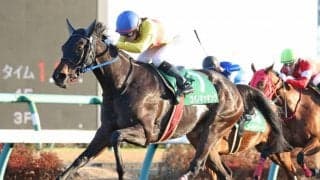 コパノキッキングが競走馬登録抹消