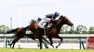 【中京6R】ディープ産駒 タイムオブフライトが大きな不利を跳ね返して初勝利