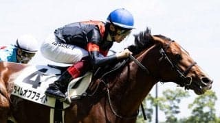 【中京6R】富田「へこたれないメンタル」タイムオブフライトが初勝利