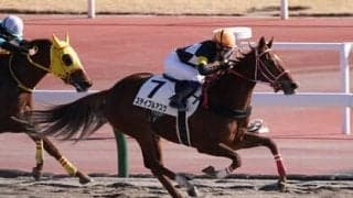 マーメイドＳは高配当確率80％。穴党記者は過去例を重視、軽ハンデの条件馬に狙い