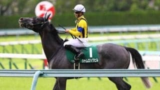 【マーメイドS予想】全馬買っても「100％」超え!? 大荒れ重賞「単純明快」な波乱の理由