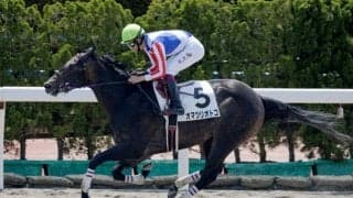 【函館6R新馬戦結果】オマツリオトコが後続を5馬身差突き放す圧勝劇