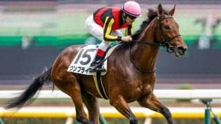【東京5R新馬戦結果】ステルヴィオの妹ウンブライルが圧勝で初陣を飾る
