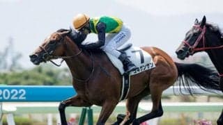  【函館5R新馬戦結果】ゴキゲンサンが抜け出して勝利