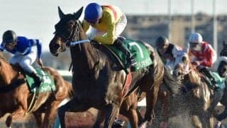 【JRA】コパノキッキングが競走馬登録抹消、今後は乗馬に