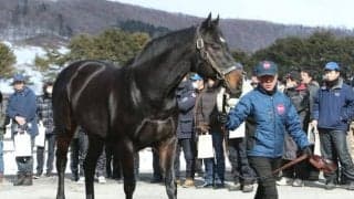 ヴィットリオドーロ産駒がJRA初勝利 函館6Rでオマツリオトコが5馬身差V