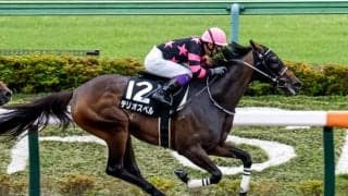 【スレイプニルS結果】10番人気テリオスベルが逃げ切り勝ち、3連単126万円超の波乱