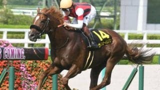【米子S結果】ウインカーネリアンが押し切ってリステッド競走連勝