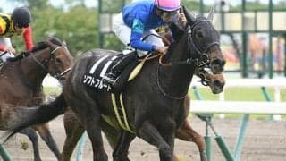 【マーメイドS予想】大荒れ必至の波乱重賞！ あの「人気馬」にも取りこぼす可能性