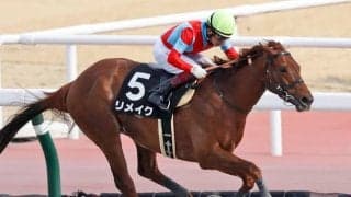 【ユニコーンS前日オッズ】ラニ産駒リメイクが3.4倍で1番人気