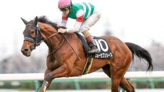 【マーメイドS前日オッズ】格上挑戦のスルーセブンシーズが6.2倍で1番人気、7頭が10倍を切る大混戦