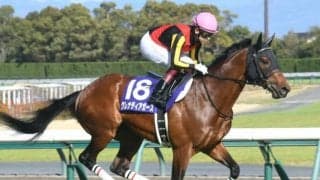 【英G1・プラチナジュビリーS】今夜0時20分発走！伝統の一戦でグレナディアガーズが2つ目のタイトルを狙う