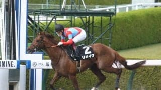 【ユニコーンS予想】世界に羽ばたく活躍馬誕生なるか