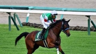 【マーメイドS予想】今年も人気薄馬が勝利をつかみ取るか