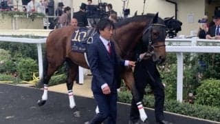 【プラチナジュビリーS】中内田師「適性の問題だったかも」グレナディアガーズは19着敗退