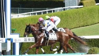 【ユニコーンS予想】ローテと枠順からは絞り込めない？ 狙うなら9年連続馬券食い込む3番人気に？