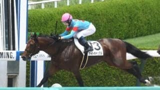 【阪神5R新馬戦結果】シルバーステート産駒ナイトキャッスルが差し切り勝ち