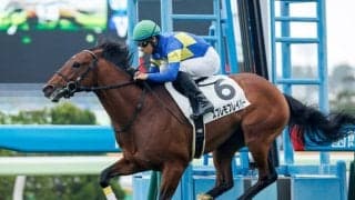 【函館5R新馬戦結果】スプレモフレイバーが危なげなく逃げ切る