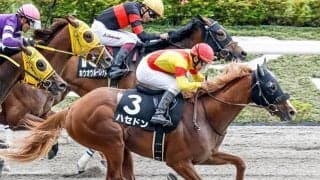 【ユニコーンS・馬体重】ハセドンは476kg(-2)、リメイクは472kg(-6)