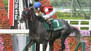 【マーメイドS結果】ウインマイティーが突き抜けて2年2か月ぶりのV