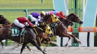 【ユニコーンS】ペイシャエスが大混戦のゴール前を制する