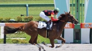 【新馬/東京6R】10番人気モルチャンがV！豪快な差し切り