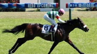 【東京8R】パラレルヴィジョンがデビュー2連勝