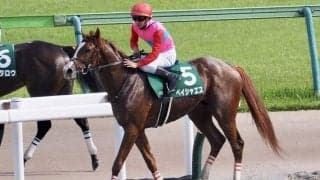 【ユニコーンS】菅原明「スタミナが豊富」ペイシャエスが重賞初制覇