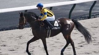 D.レーン騎手 JRA通算100勝達成！