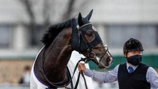 宝塚記念でタイトルホルダー、エフフォーリアらが激突/今週の競馬界の見どころ