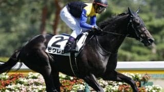 【先週のJRA抹消馬】アパパネの初仔モクレレ、リヤドダートスプリント覇者コパノキッキングなど