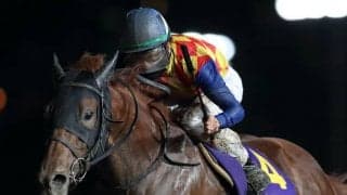 【帝王賞 選定馬】連覇狙うテーオーケインズ、現役続行のオメガパフューム、昨年2着ノンコノユメなど