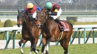 【東京ジャンプS想定騎手】エイシンクリックは西谷誠騎手、ケイティクレバーは五十嵐雄祐騎手