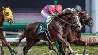 母方にサドラーズウェルズを持つエスポワールシチー産駒は好成績