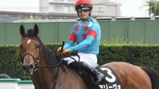 【宝塚記念展望】上半期の総決算、あの馬に期待したい