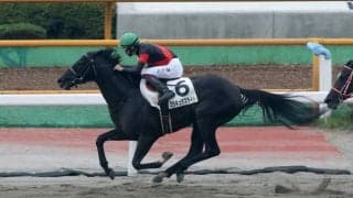 【函館4R】エイシンフラッシュ産駒 ミラキュラスライトが初勝利