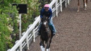 ワンダーミズキなど、先週のゲート試験/栗東トレセンニュース