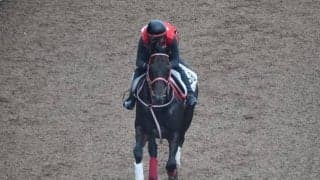 ユニコーンライオンなど、先週の入厩情報/栗東トレセンニュース