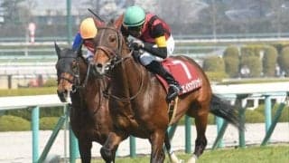 【東京ジャンプS予想オッズ】エイシンクリックが予想1番人気