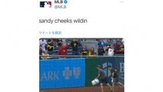 MLB球場に“乱入者”出現　係員3人でも捕まえられず米笑撃「速すぎる」「大慌てだ」