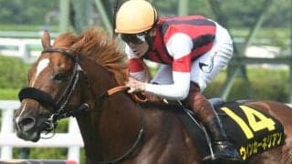 【次走】ウインカーネリアンは関屋記念へ　1年休養から復帰後リステッド2連勝中