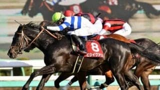 宝塚記念を血統で分析。春競馬のラストで注目すべきは「ストームキャット」と「オルフェーヴル」の血