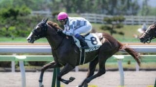 【新馬/函館5R】武豊 クリダームがデビューV！インゼル初陣飾る