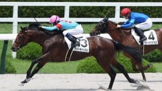 【新馬/阪神5R】シルバーステート産駒 ナイトキャッスルがデビューV