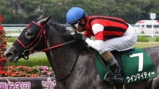 【マーメイドS】和田竜「気持ち切れずに走ってくれた」ウインマイティーが重賞初V